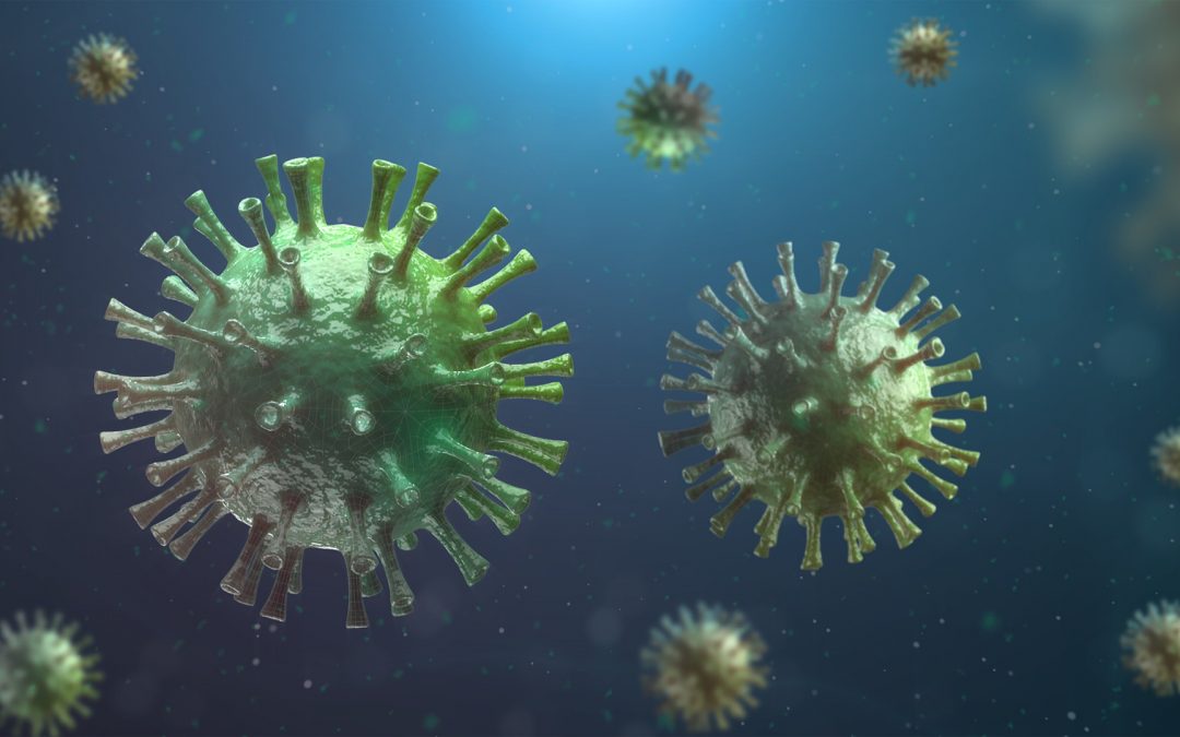 corona holst bookkeeping